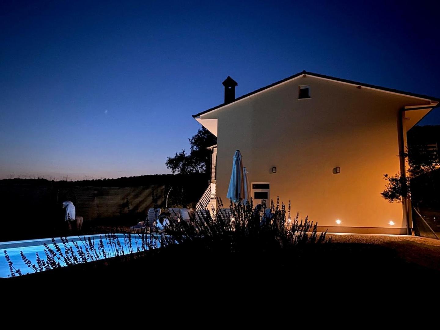 Villa Butoniga Nature ブゼト エクステリア 写真